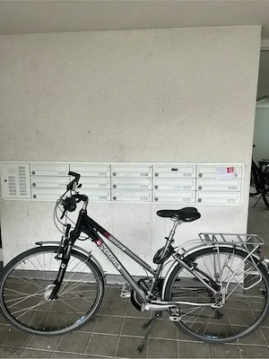 Pegasus Premio Fahrrad
