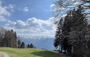 Schönes Zuhause gesucht 