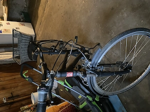 Schönes Damenrad