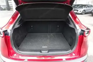 Mazda CX-30 Bild 8