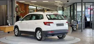 Skoda Karoq Bild 6