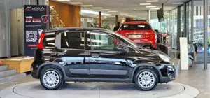 Fiat Panda Bild 5