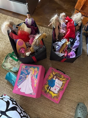 Barbie Sammlung mit vieeel Zubehor 