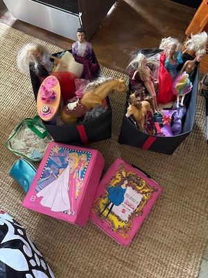 Barbie Sammlung mit vieeel Zubehor  Bild 2