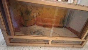 Terrarium  Bild 2