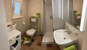 Apartment mit 33 m2 in Lustenau für max. 6 Monate zu vermieten Bild 4