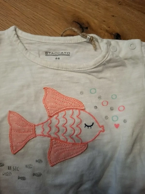 T-Shirt von Staccato Gr. 68 Bild 2