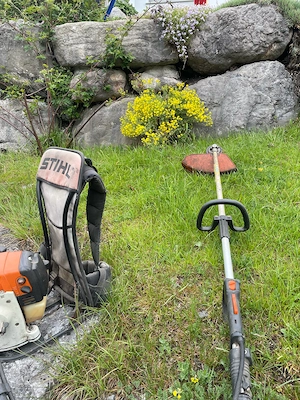 Stihl Fr 450 Bild 3
