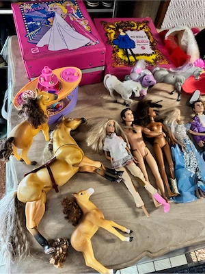 Barbie Sammlung mit vieeel Zubehor  Bild 9