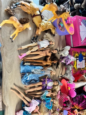 Barbie Sammlung mit vieeel Zubehor  Bild 10