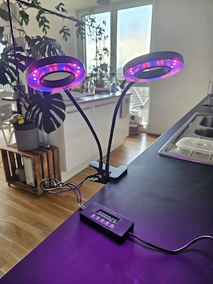 Pflanzenlampe Wachstum grow light mit Timer Bild 2