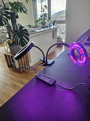 Pflanzenlampe Wachstum grow light mit Timer Bild 3