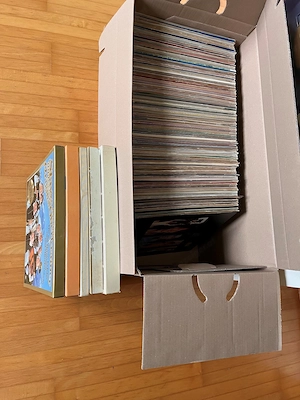 Gebrauchte Schallplatten Bild 7
