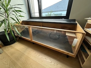 Tiergehege (Meerschweinchen) Bild 4