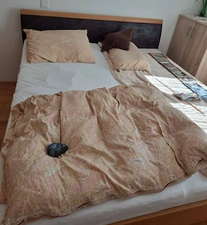 Bis 24. Mal abzuholen: Echtholzolzbett ca 180 cm Breite, ca 205 cm Länge und ca 48 cm Höhe Bild 2
