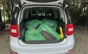 Skoda Yeti Bild 2