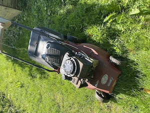 Rasenmäher Bild 2