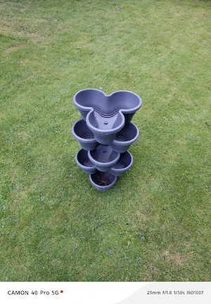 Blumen Topf 