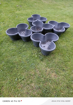 Blumen Topf  Bild 4