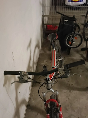 Mountainbike 