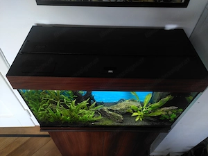 Aquarium, Juwel Rio 125, inkl. Unterschrank, Inhalt u. Zubehör  Bild 2