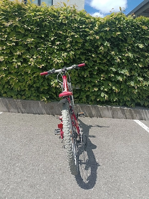 Cube Mountainbike 24 Zoll Jugend  Kinderfahrrad Bild 3