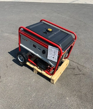 Endress ESE 606 DHS-GT ES Generator Stromerzeuger Aggregat B Bild 5