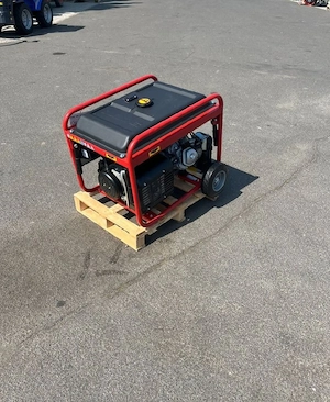 Endress ESE 606 DHS-GT ES Generator Stromerzeuger Aggregat B Bild 2