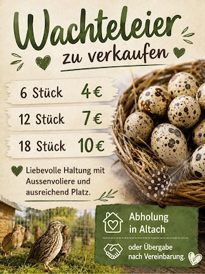 Wachteleier 