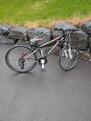 24' Zoll Kinderbike Bild 4