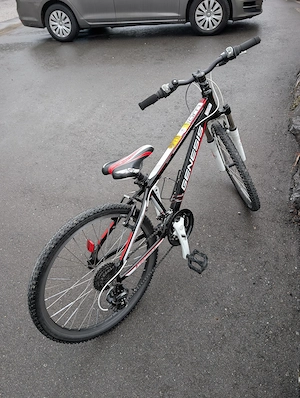 24' Zoll Kinderbike Bild 3