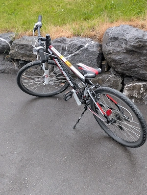 24' Zoll Kinderbike Bild 2