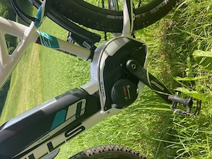 E-Bike Bulls Aminga E Bild 2