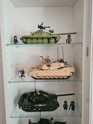Vitrine inkl. KLemmbaustein Modellen Bild 3