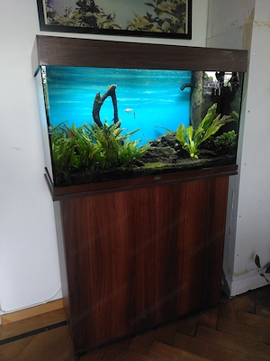 Aquarium, Juwel Rio 125, inkl. Unterschrank, Inhalt u. Zubehör  Bild 6