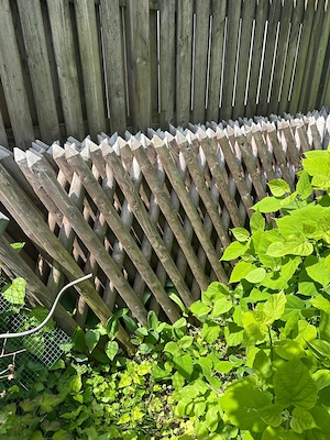Zaun-Elemente Jägerzaun Bild 4