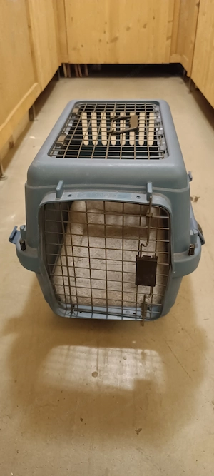 Hundetransportbox Bild 2