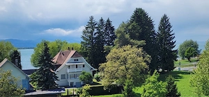Lochau Seedomizil 3-Zi Wohnung mit vollem Seeblick Bild 2