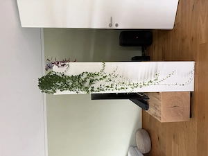 Kallax Bücherregal Bild 3