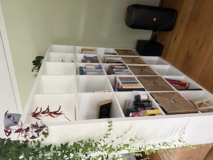 Kallax Bücherregal Bild 2