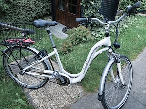 Ebike zum verkaufen , Preis vhb 