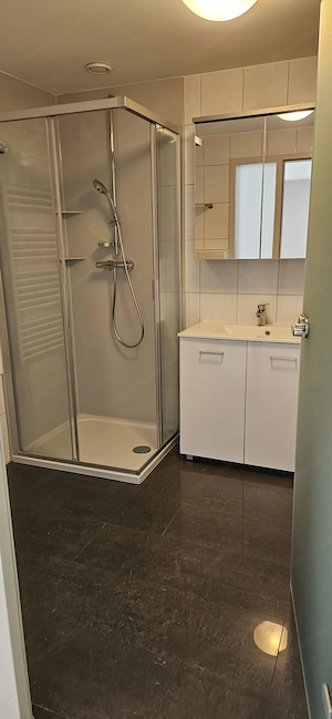 Ich suche einen nachmieter für eine 1-zimmerwohnung Bild 3