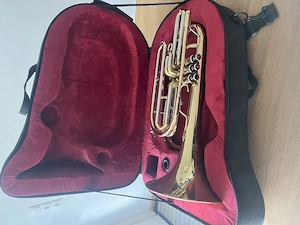 Basstrompete Wessex zu verkaufen Bild 6