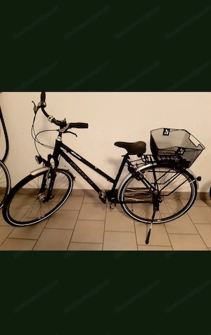 Damen Fahrrad für Damen ca 170-180 cm 