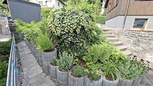 Vermiete kleines Häuschen, 4 Zimmer mit Garten Terrasse und Abstellplatz Bild 2