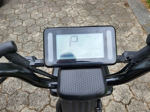 Elektroroller EB250P Bild 5