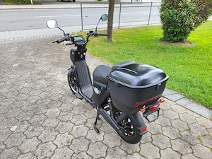 Elektroroller EB250P Bild 3