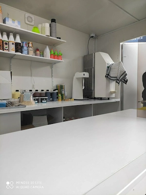 Softeismaschine und frozen Joghurtmaschine Carpigiani Bild 2