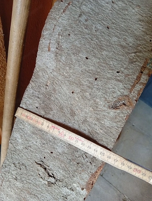 Tischplatte Buche Rad Stamm Scheibe Bild 5