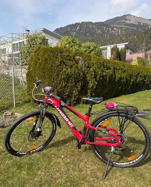 Kinder   Jugend Mountainbike